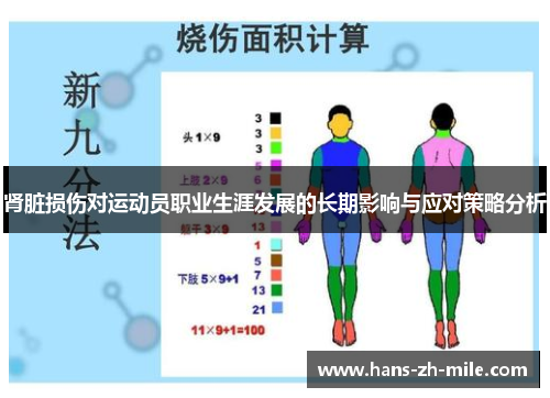 肾脏损伤对运动员职业生涯发展的长期影响与应对策略分析 肾脏损伤对运动员职业生涯发展的长期影响与应对策略分析