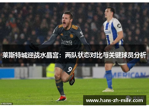 莱斯特城迎战水晶宫:两队状态对比与关键球员分析 莱斯特城迎战水晶宫:两队状态对比与关键球员分析